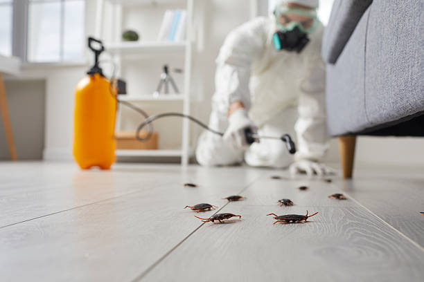 Trusted Cockroach Control service in Lynnwood-Pricedale, PA - Nex Pest Control